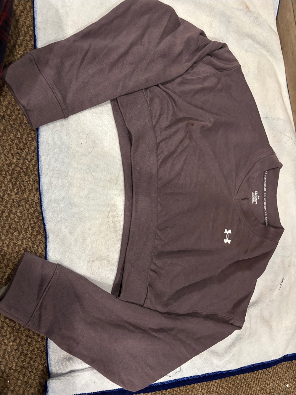 Under Armour Dusty Plum Cropped Crewneck Sweatshirt